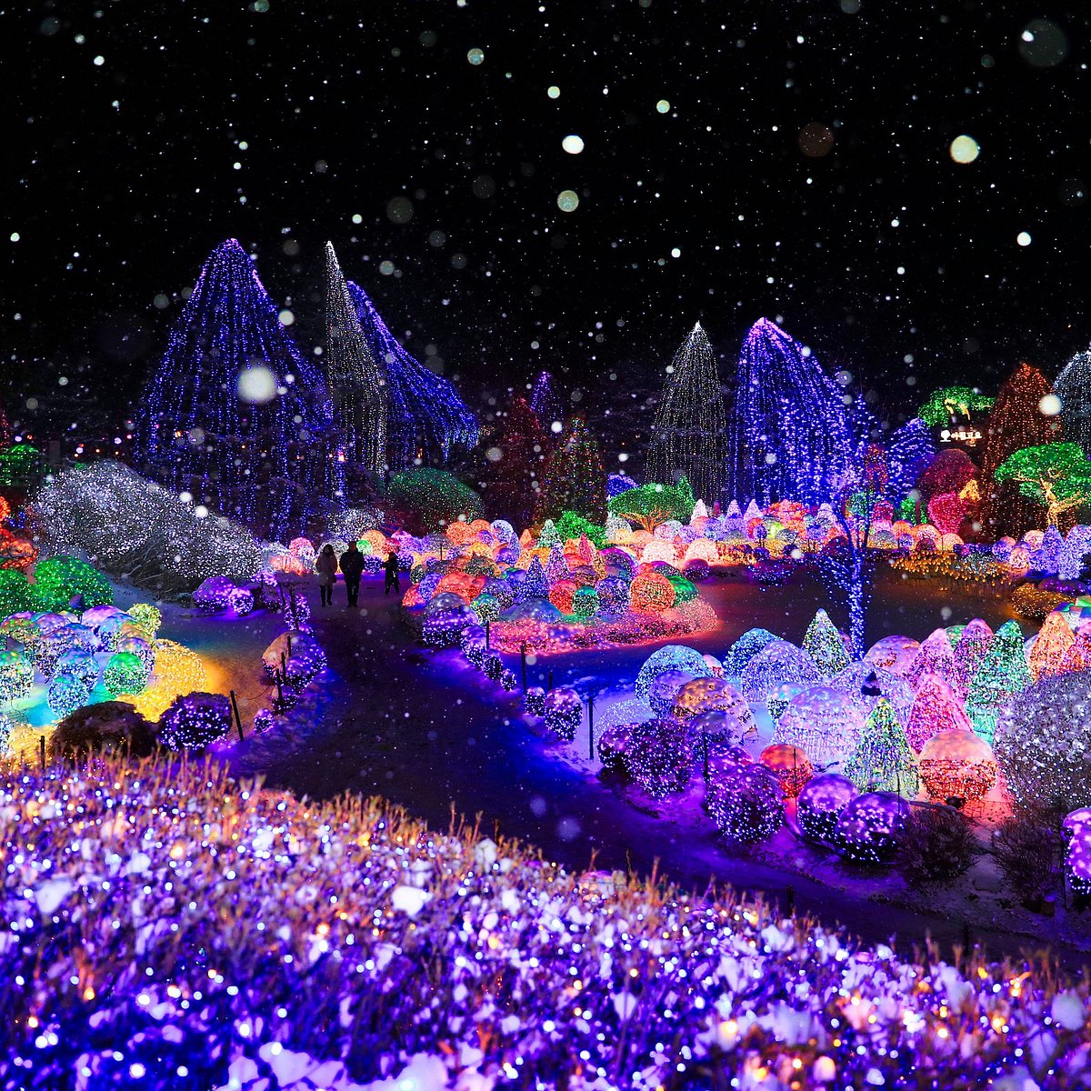 아침고요수목원 입장료