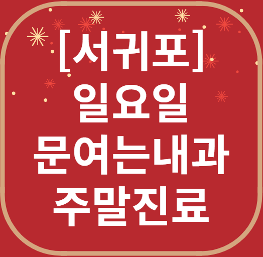 서귀포 일요일 문 여는 내과 목록 ❘ 토요일 공휴일 주말 진료 병원 찾기