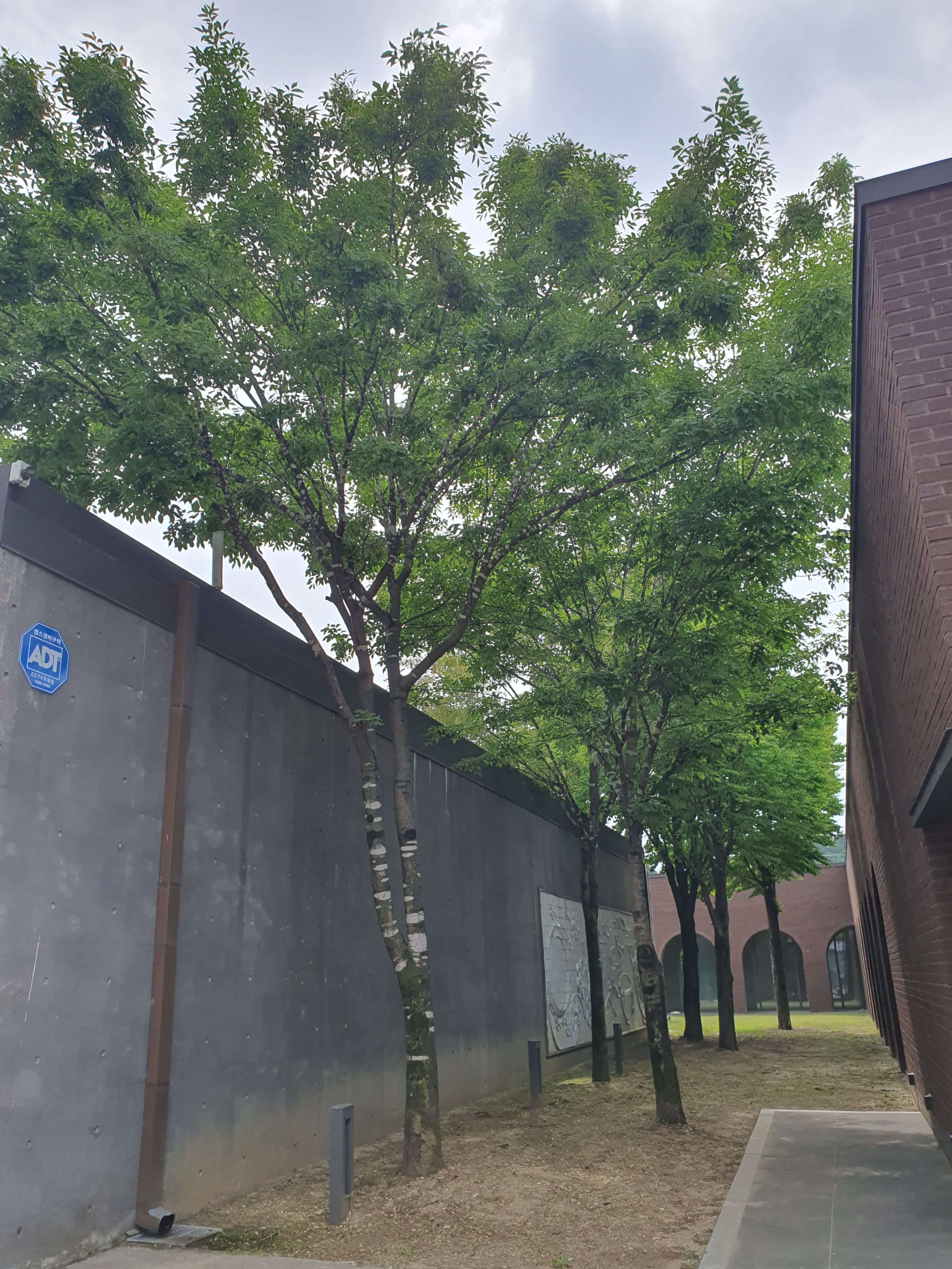 강원도 아이랑 가볼만한 곳