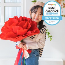  어버이날 선물 추천 BEST 5 - 카네이션