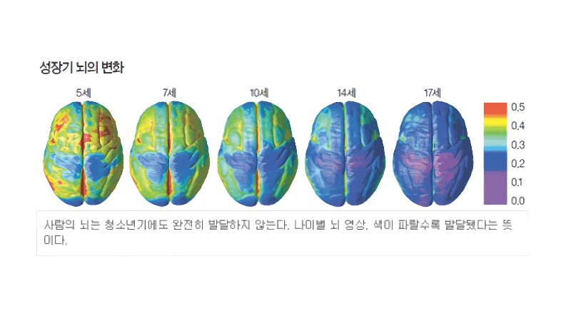 초등고학년사춘기, 남자아이사춘기, 사춘기정서변화,사춘기뇌발달, 남자아이감정기복, 청소년뇌변화,테스토스테론, 초등학생감정조절, 사춘기소통법,사춘기부모대처법, 사춘기말 안 하는 이유, 초등학생행동변화,사춘기상담시기, 초등학생정서문제, 감정폭발사춘기