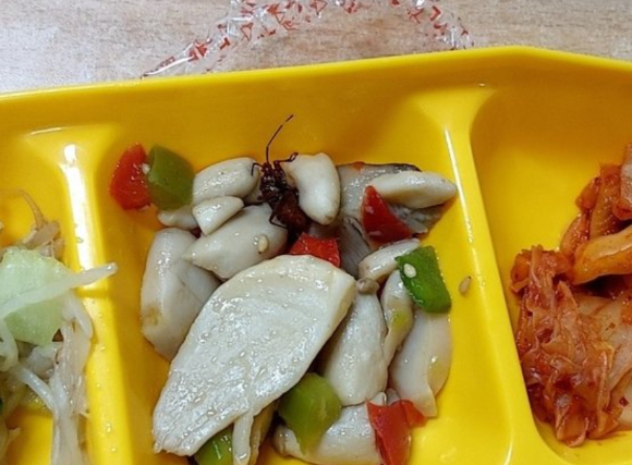 지난 23일 경남 창원시 한 고등학교 위탁 급식에서 벌레가 나와 교육청이 현장 점검에 나섰다. 사진 디시인사이드 캡처 [사진=온라인 커뮤니티 '디시인사이드' 캡처]