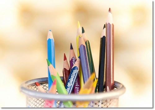 개별화교육 협의회