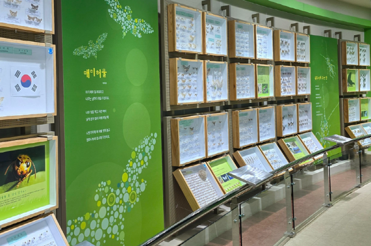 양평 곤충박물관