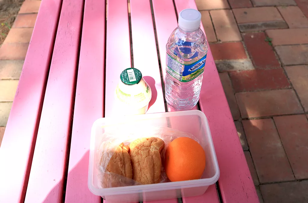 자라섬에는 곳곳에 쉼터와 벤치에서 준비한 간식 사진입니다.