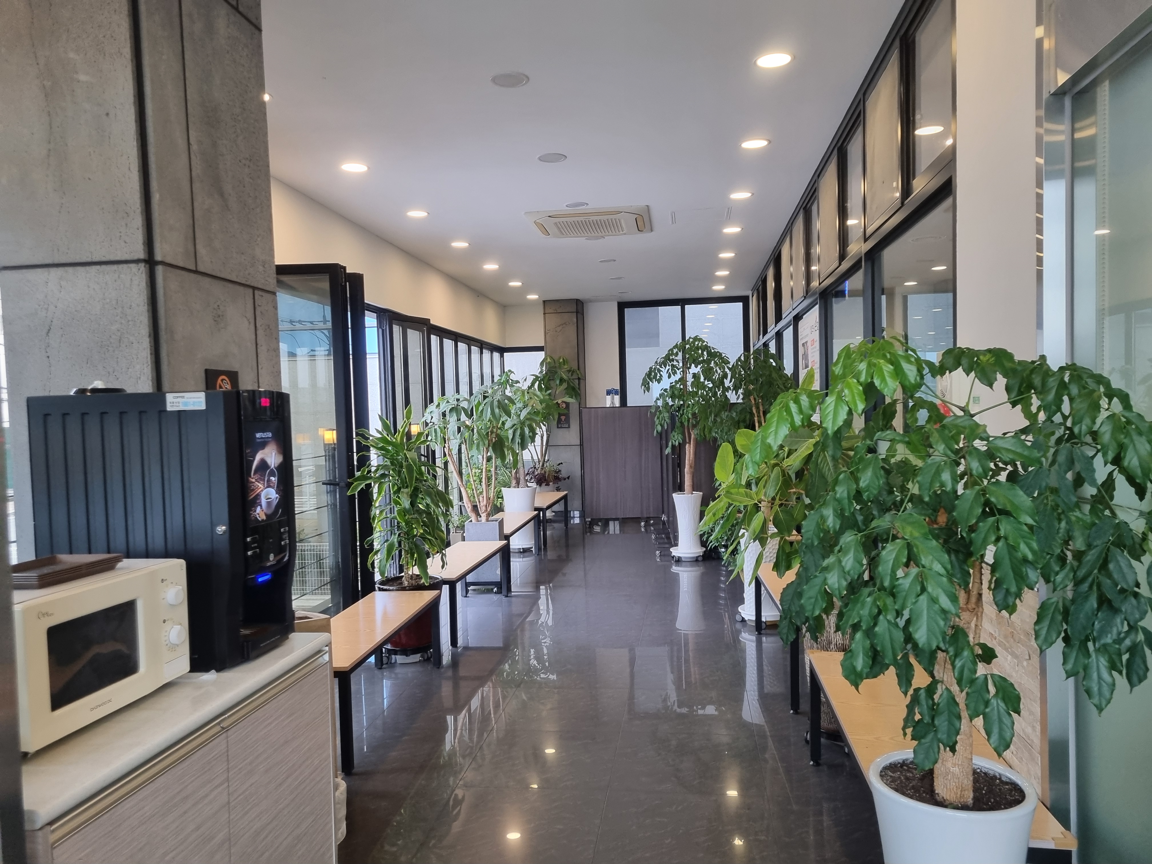 얼크니 손칼국수