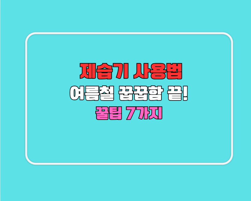 여름철 꿉꿉함 끝! 제습기 사용법 꿀팁 7가지