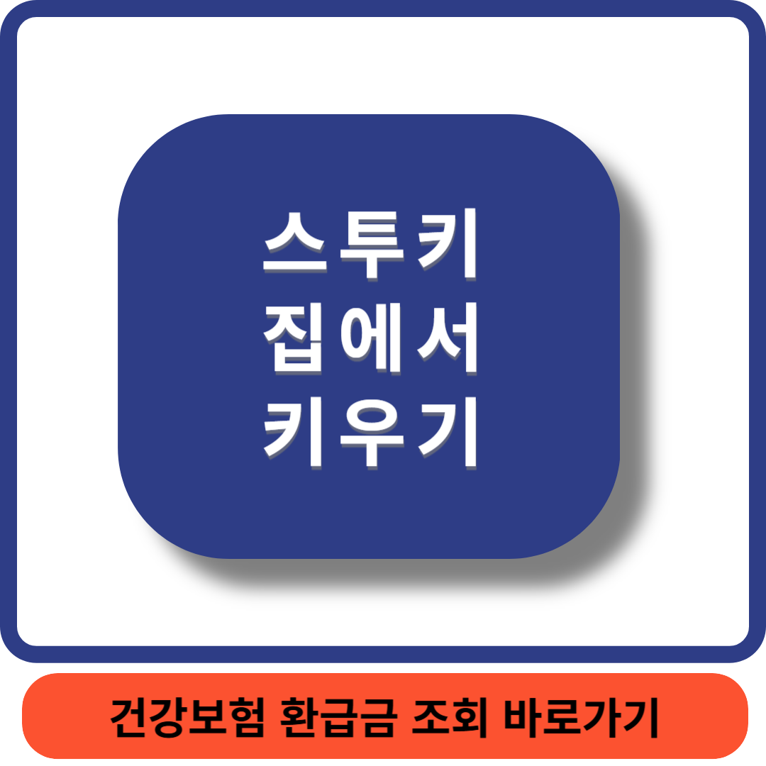 스투키키우기썸네일