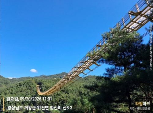 거창 수승대 출렁다리 아래에서 바라본 다리 전체 모습