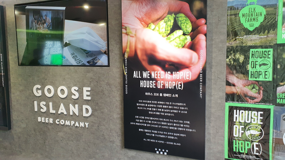 구스아일랜드-5