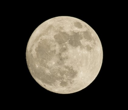 꽃피는 달의 신비와 의미 플라워문