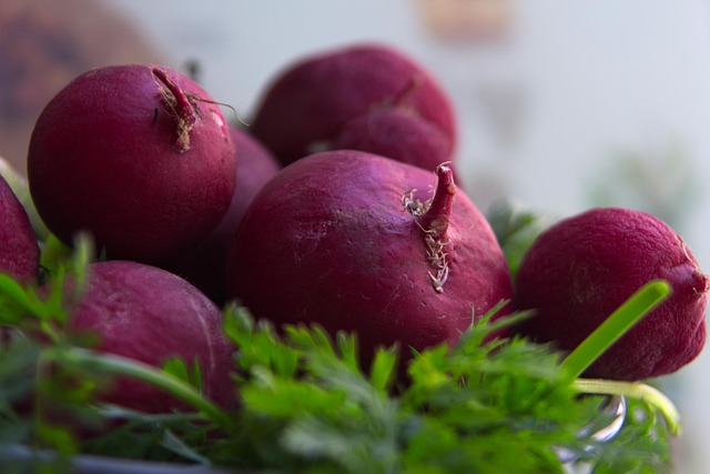 목디스크 치료방법 2