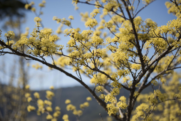 구례 역사 명소 음식점