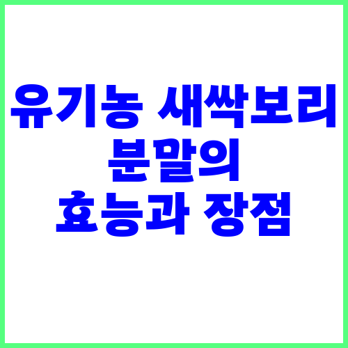 유기농 새싹보리 분말 효능과 장점