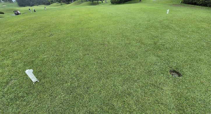 한림용인 CC 사진1