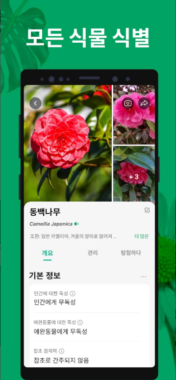 꽃 이름 검색, 꽃 이름 식별 앱