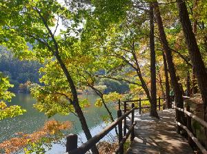 속리산단풍-7