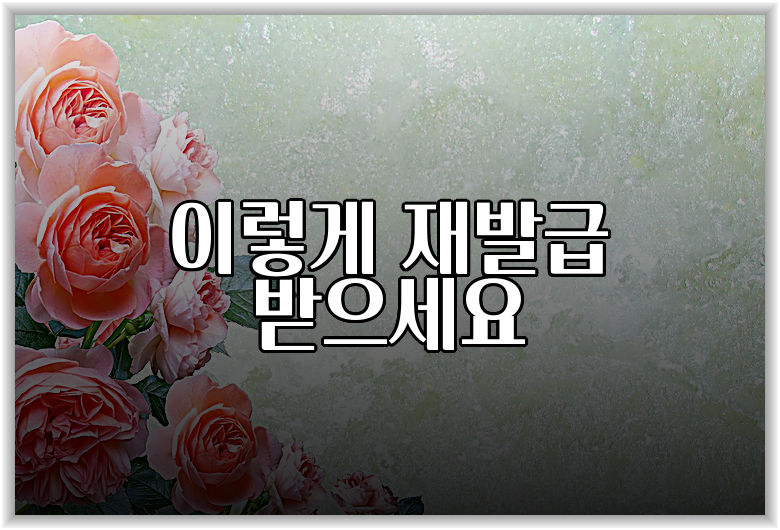 이렇게 재발급 받으세요