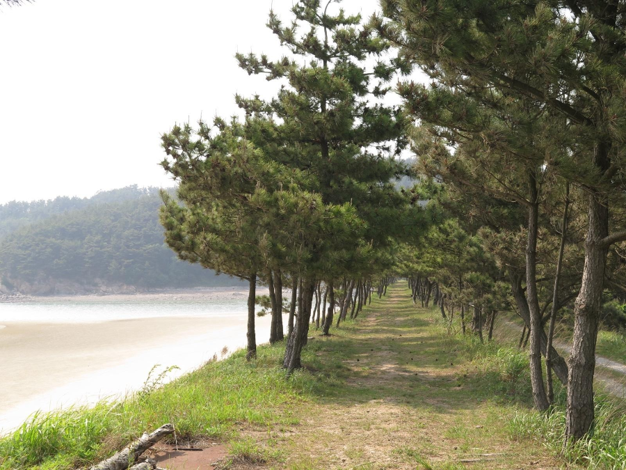 태안 가볼만한 곳