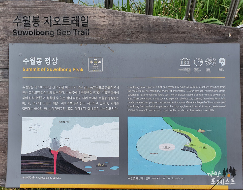 수월봉 형성과정