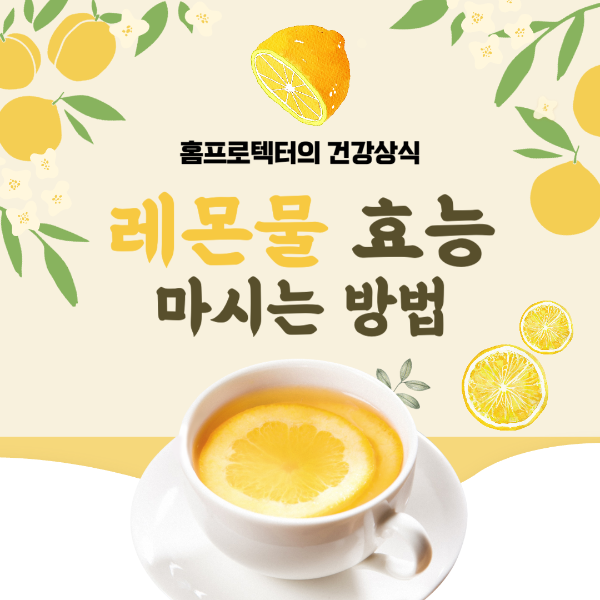 레몬물 레몬즙 효능 부작용 비율