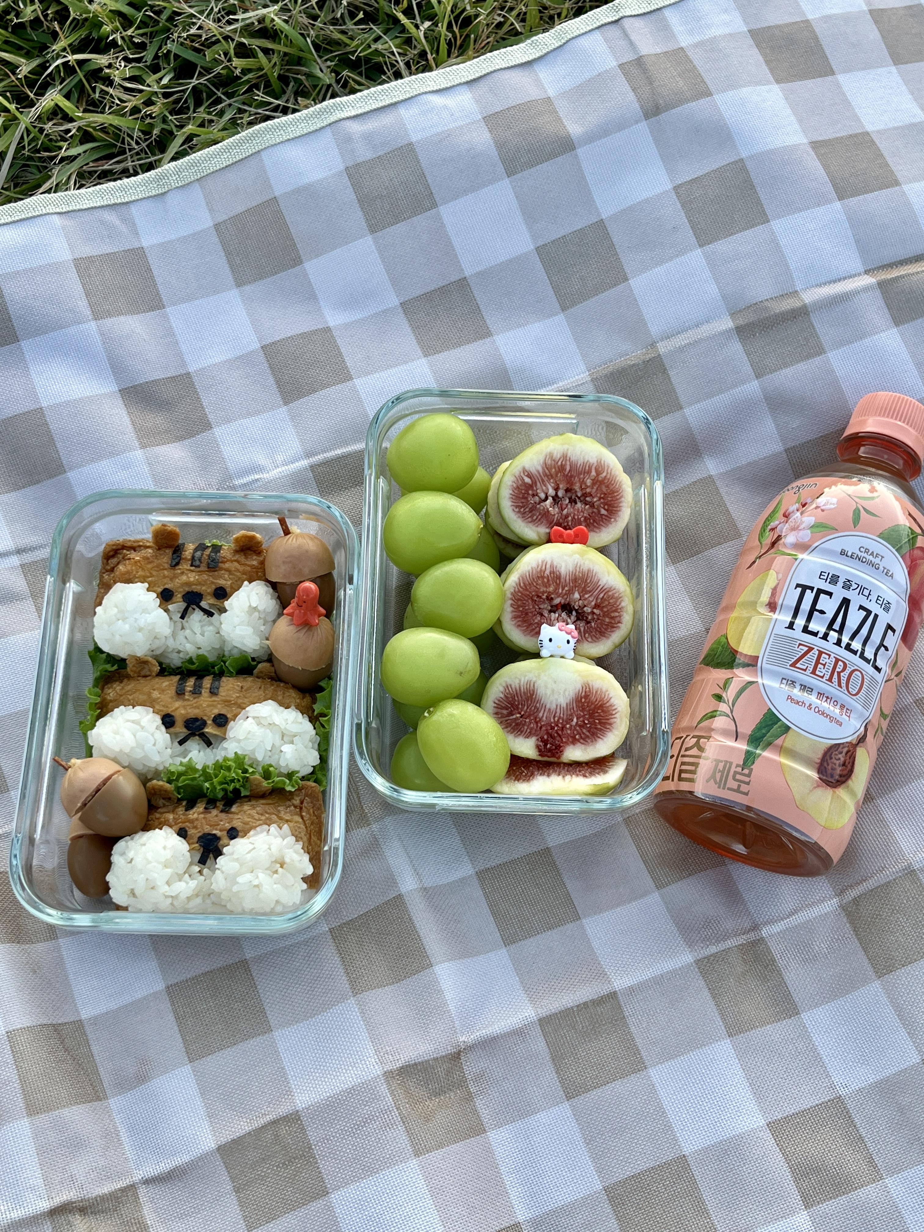 올림픽공원 나홀로나무