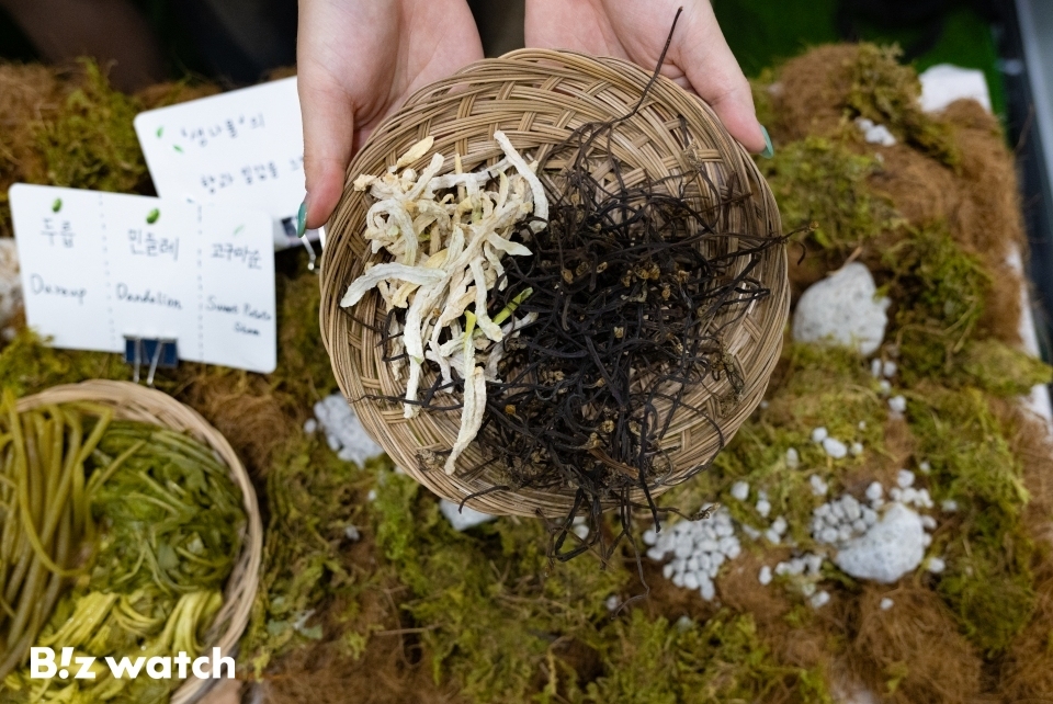 베지노믹스 서울 비건페어 인 코리아