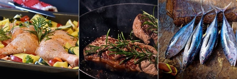 단백질을 챙겨야 하는 이유