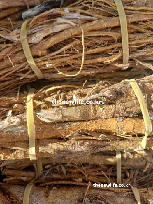 꾸지뽕 효능 혈관 건강 루틴 플라보노이드