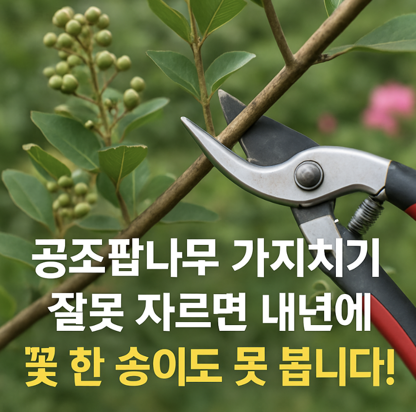 공조팝나무 가지치기, 잘못 자르면 내년에 꽃 한 송이도 못 봅니다!