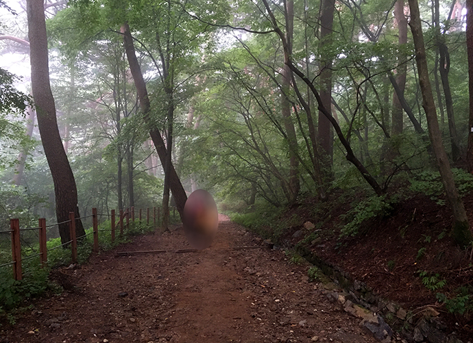 뿌연-안개-속-산길