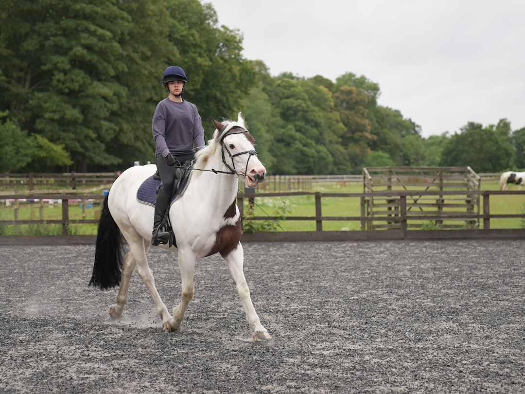 Trot