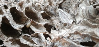 최문보 교수 1호 제자 김재희 연구원