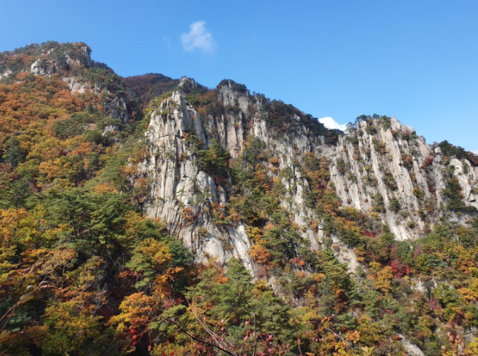 운악산 출렁다리1
