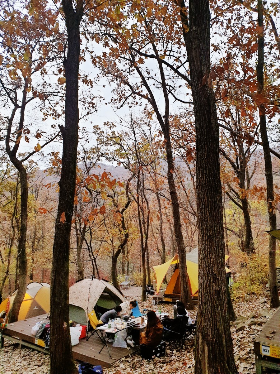 바라산 자연휴양림