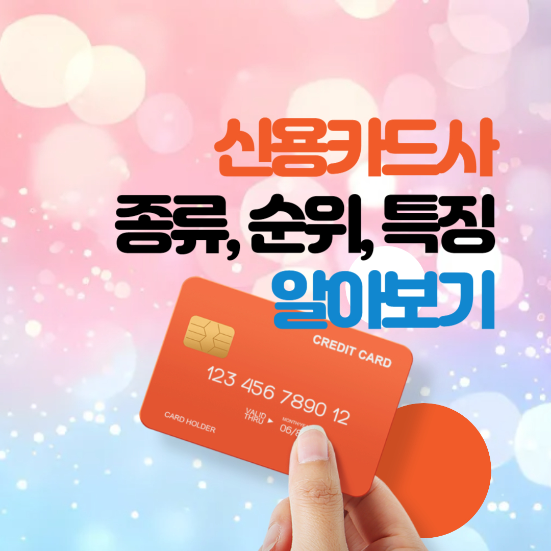 신용카드사 종류, 순위와 특징 총정리