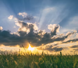 이석증 증상 후유증 원인 예방치료방법