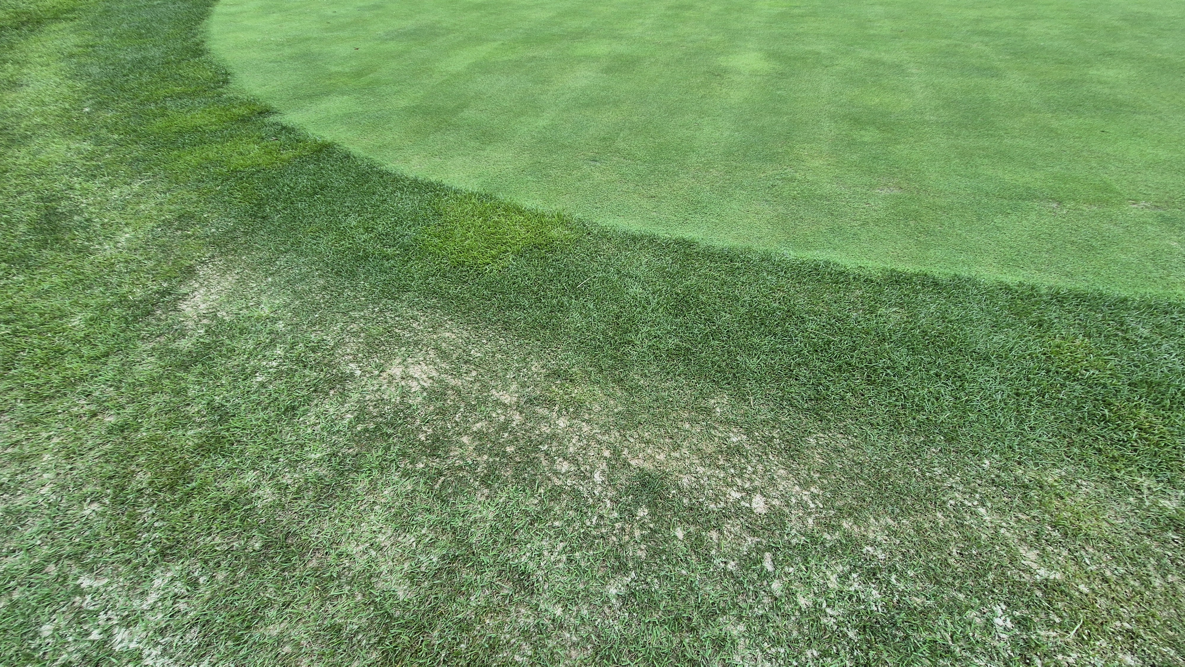 동원썬밸리cc 라운드 후기