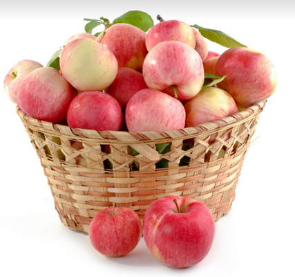 사과 보관법 비교 - 냉장 vs 실온 vs 냉동