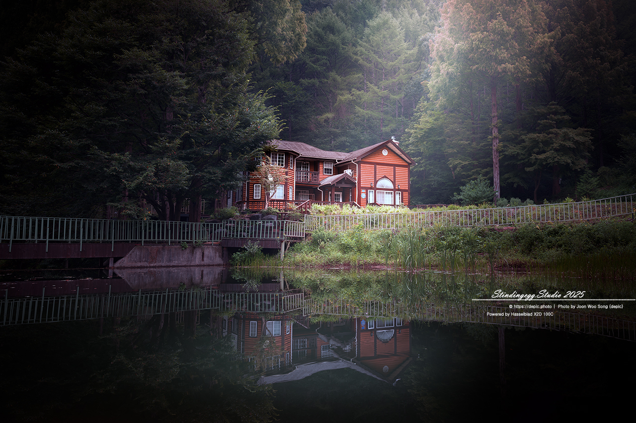 #논산 #벌곡 #온빛자연휴양림 #온빛 #연못 #꽃 #메타쉐콰이어