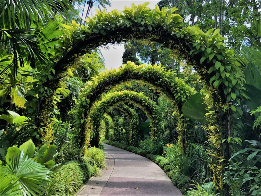 보타닉 가든 (Botanic Gardens)