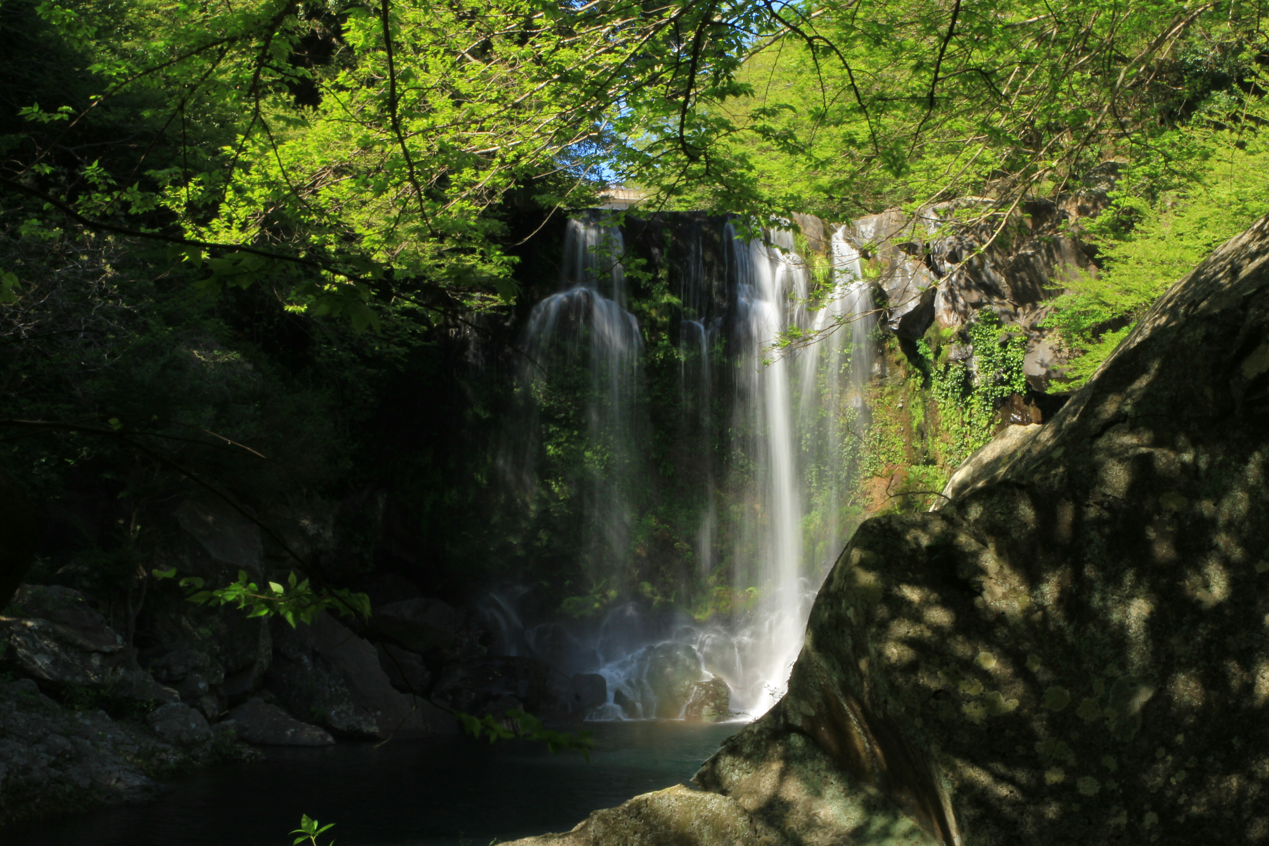 제주도 남쪽 여행지 추천