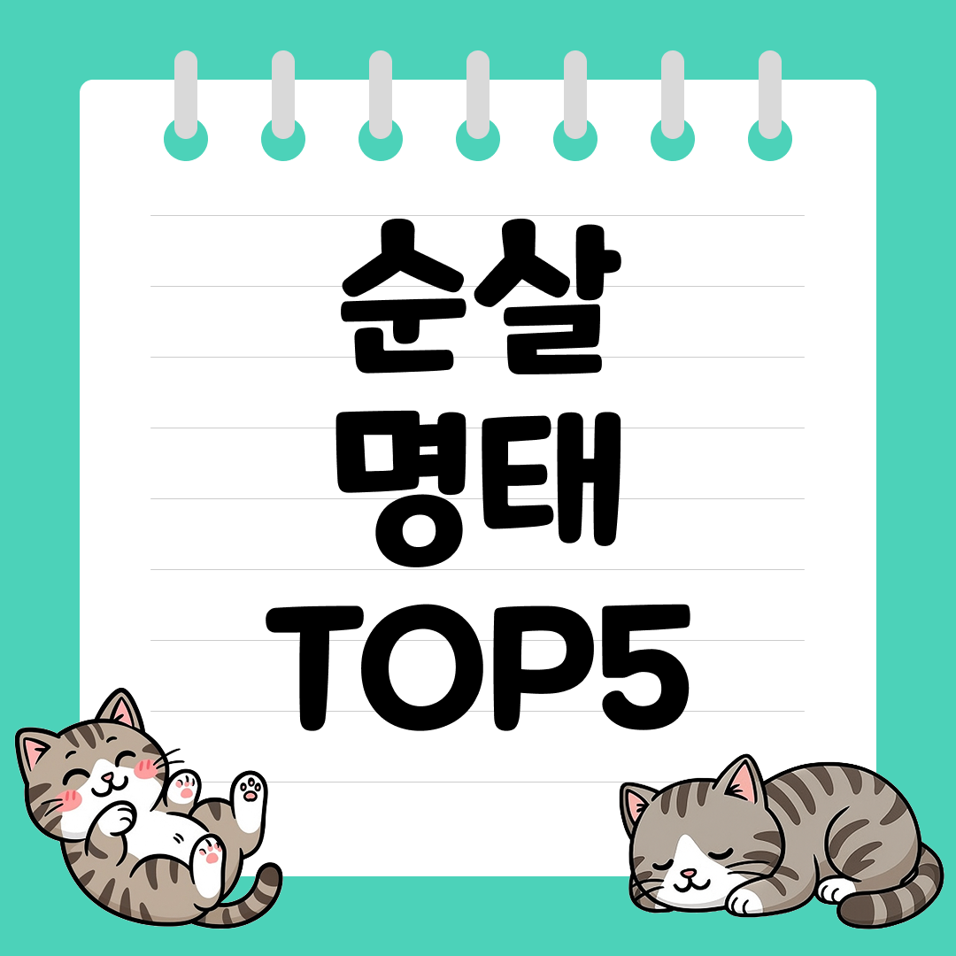담백하고 부드러운 흰살 생선, 순살 명태 추천 순위 TOP5