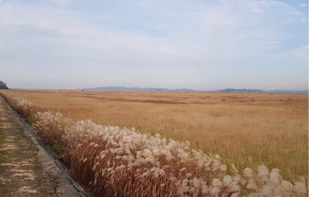 코리아둘레길 추천코스 눈치보시마시개길