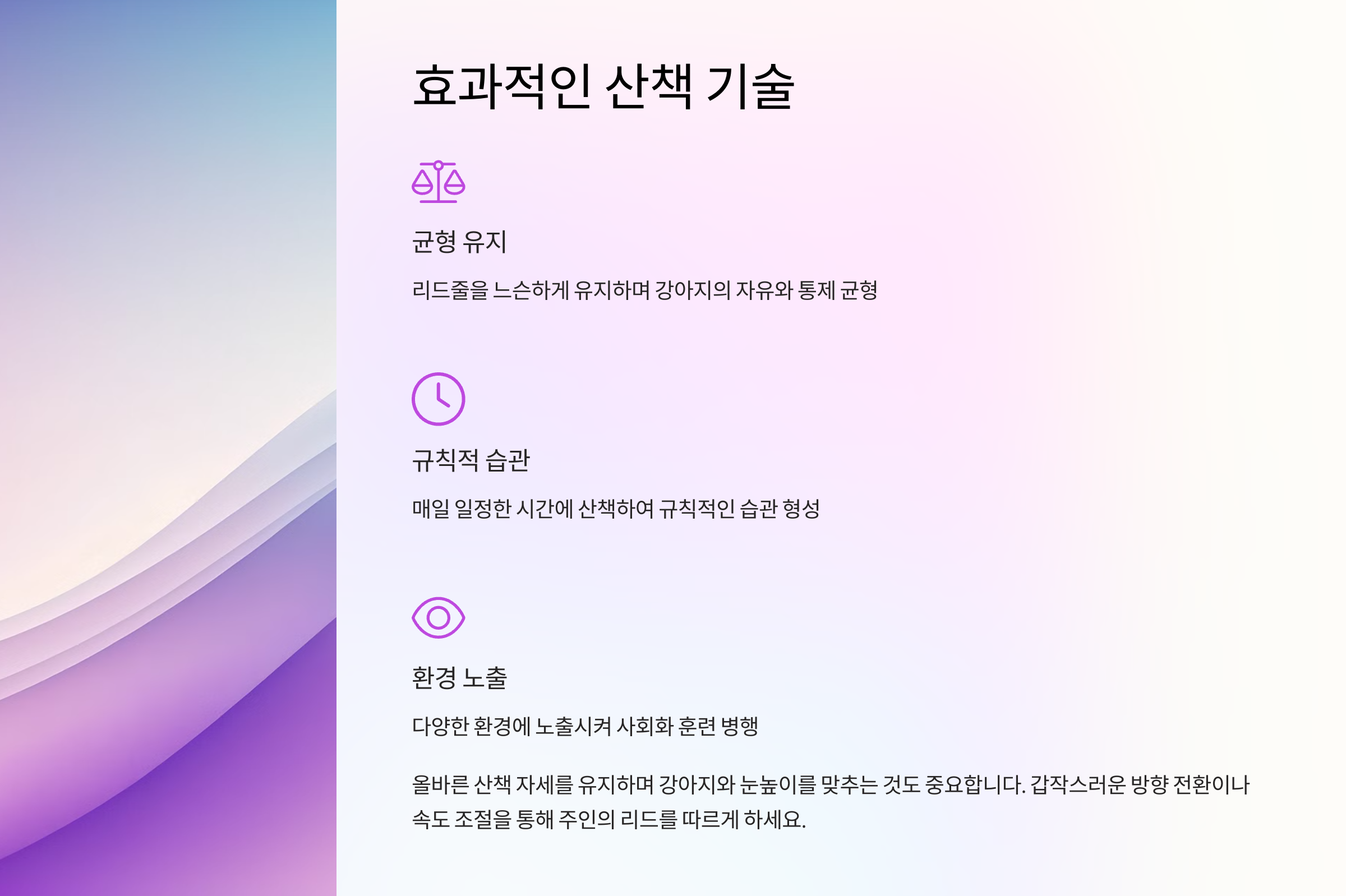효과적인 산책 기술