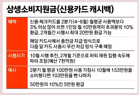 상생소비지원금