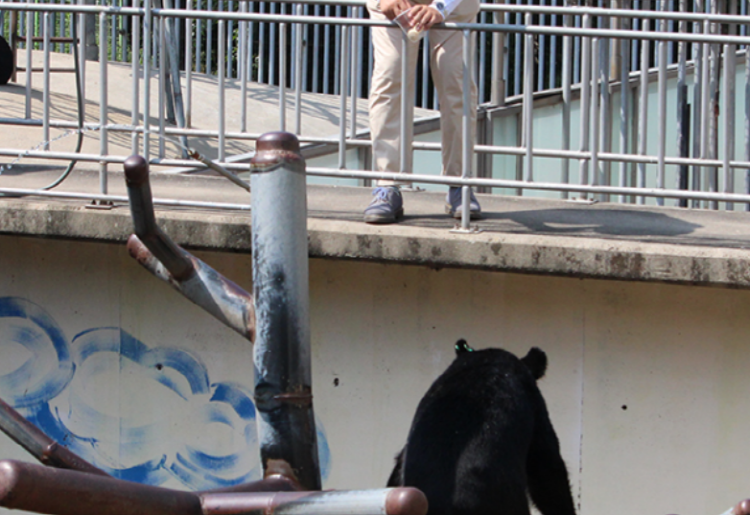 세종 베어트리파크 수목원