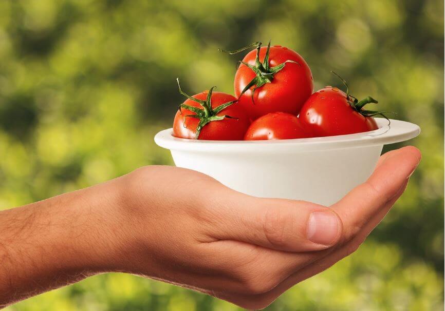 깨끗히 씻은 꼬마 토마토를 들고 있는 모습