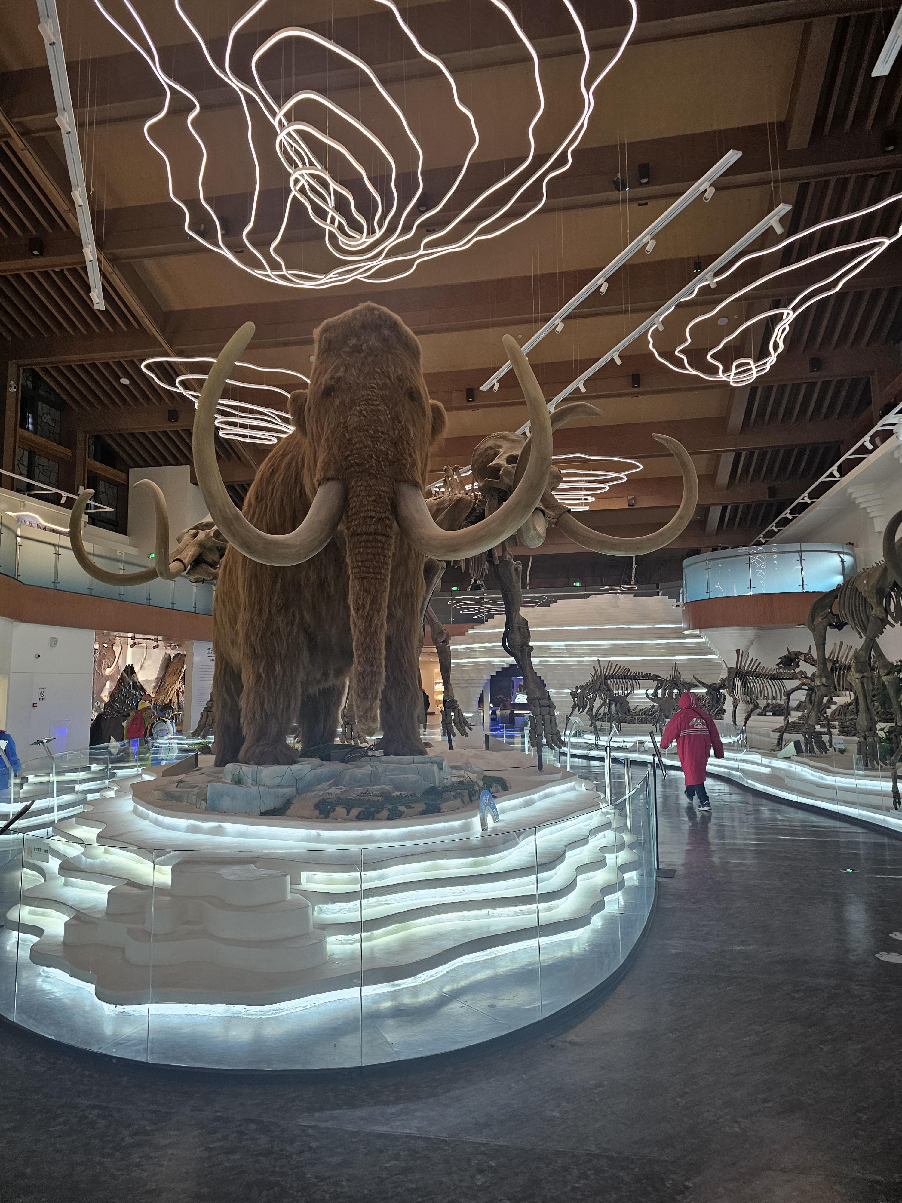 장백산 매머드 테마파크