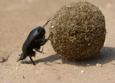 간수치가 높으면 나타나는 증상 29